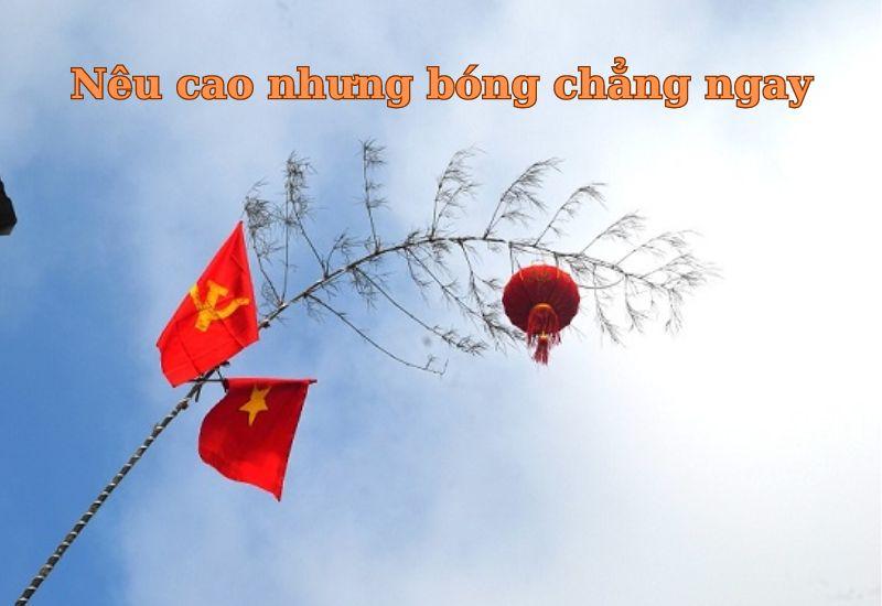 Ca dao tục ngữ, thành ngữ về lòng trung thực chọn lọc hay nhất