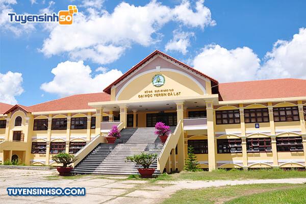 Đại học Yersin Đà Lạt