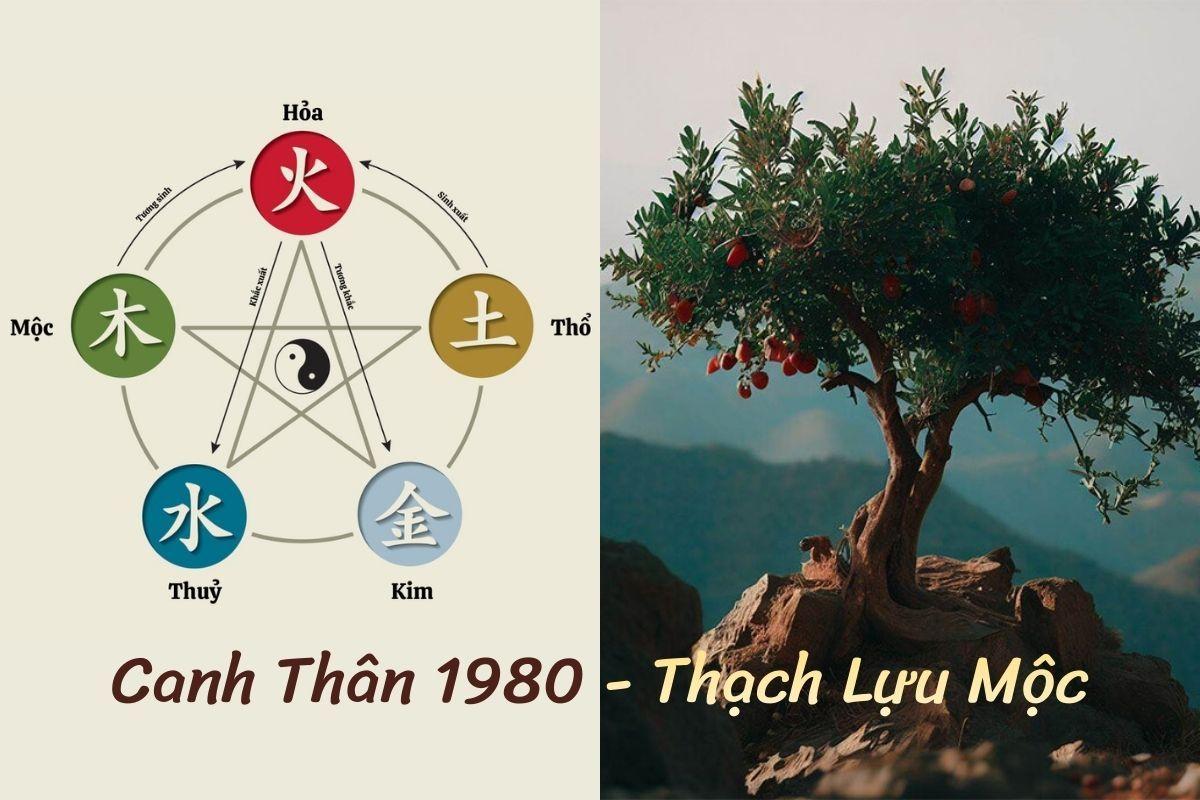 Sinh năm 1980 mệnh gì? Tuổi Canh Thân 1980 hợp màu gì, hướng nào để hút tài lộc?
