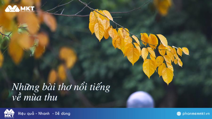 Những câu thơ ngắn về mùa thu buồn, lãng mạn