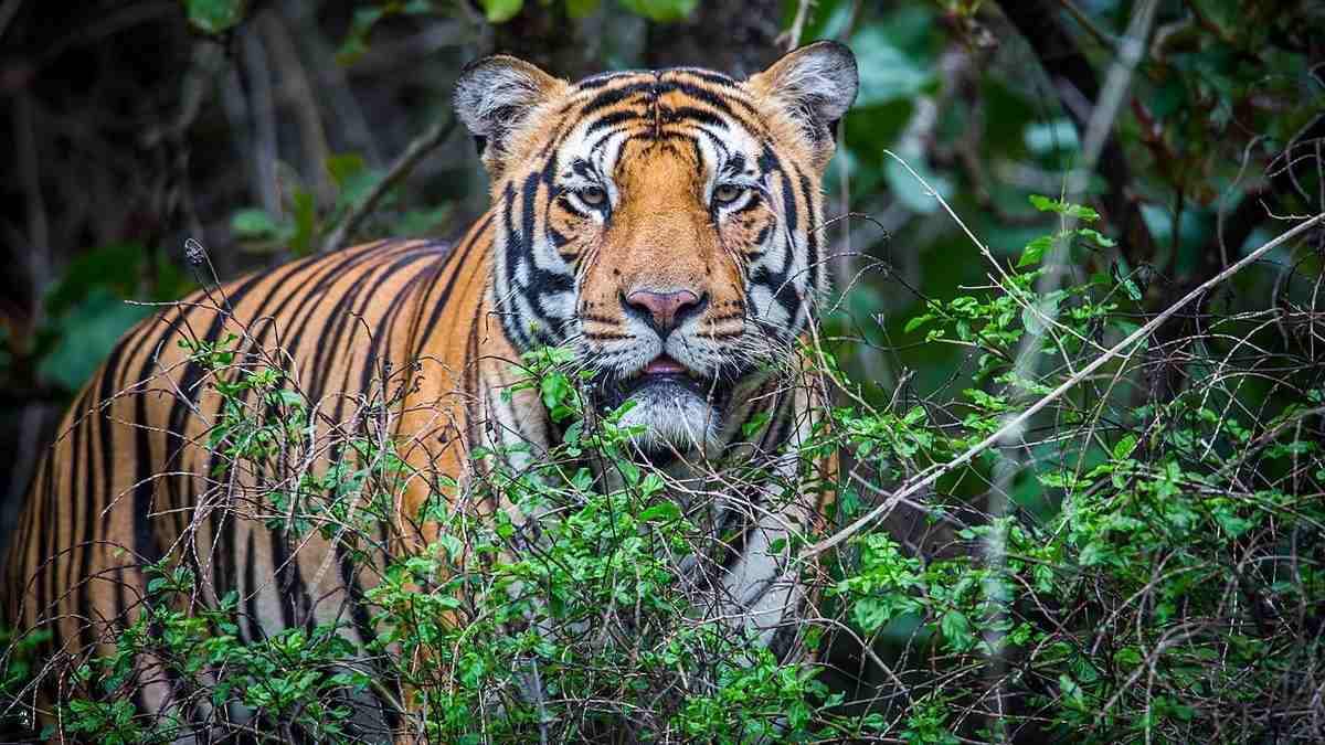 29/7 là ngày gì? Các sự kiện đặc biệt diễn ra vào ngày 29/7