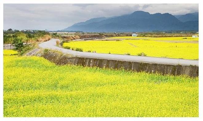 Con đường đến trường