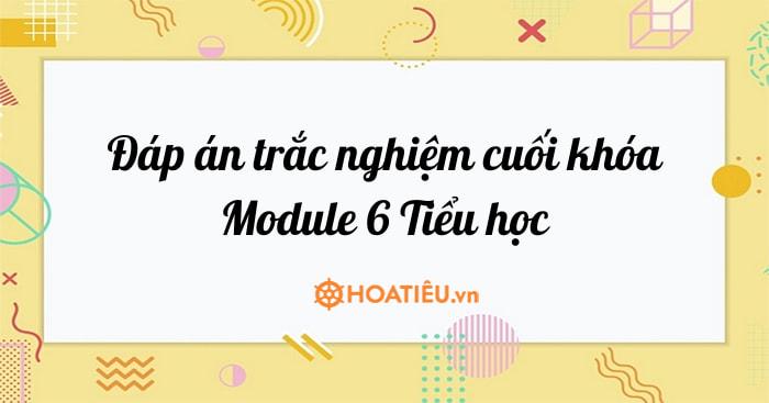 Đáp án trắc nghiệm cuối khóa Module 6 Tiểu học