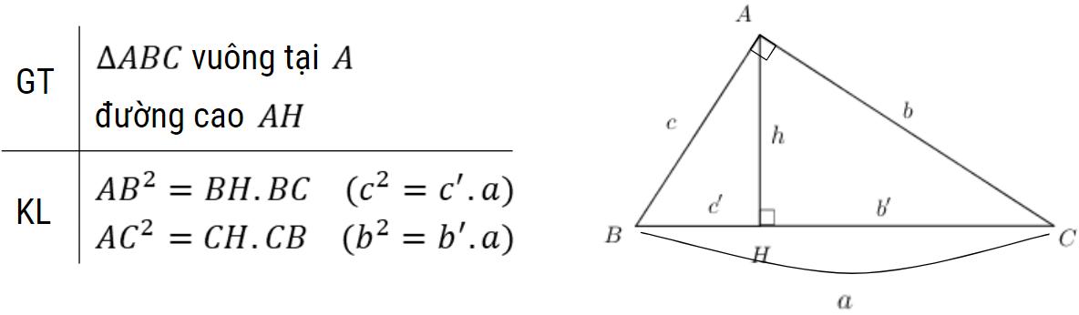 Ôn tập hệ thức lượng trong tam giác lớp 9