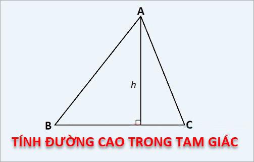 {h_a} = 2frac{{sqrt {pleft( {p - a} right)left( {p - b} right)left( {p - c} right)} }}{a}