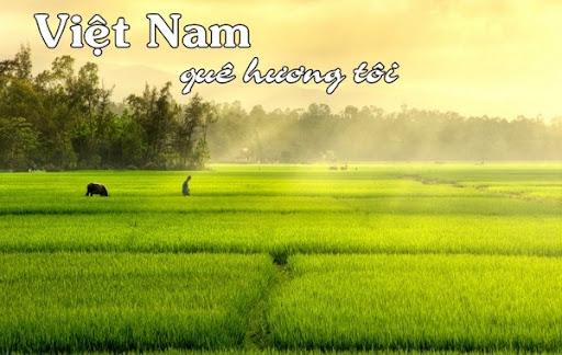 BÉ ĐẾN VỚI NHỮNG BÀI THƠ HAY VỀ CHỦ ĐỀ QUÊ HƯƠNG - ĐẤT NƯỚC - BÁC HỒ