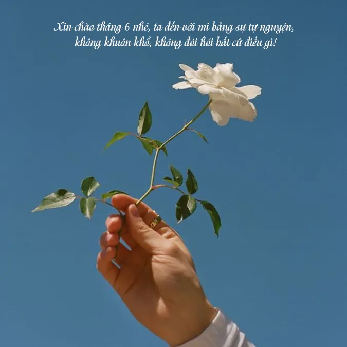 90 status tháng 6 yêu thương, cap tháng 6 hài hước