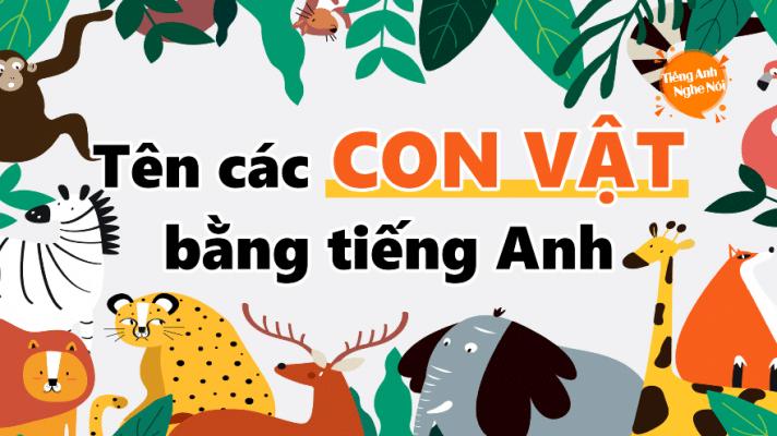 Từ vựng tiếng Anh theo chủ đề: Con vật