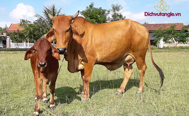 Bài cúng ông Chuồng bà Chuồng đúng chuẩn phong thủy 2021 5