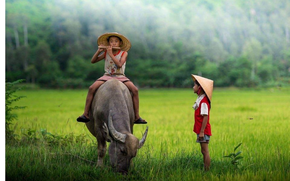 Tổng hợp những dẫn chứng về tình yêu quê hương
