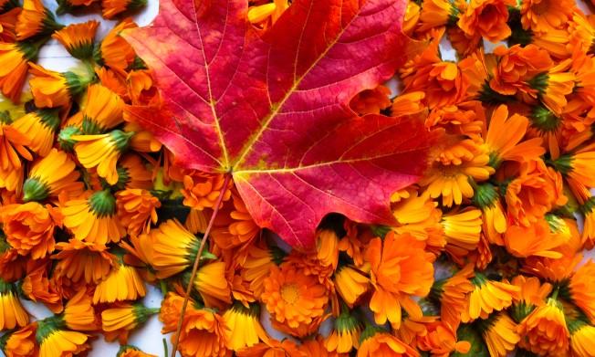 Viết văn bản nghị luận phân tích đánh giá một tác phẩm thơ lớp 10 trang 61