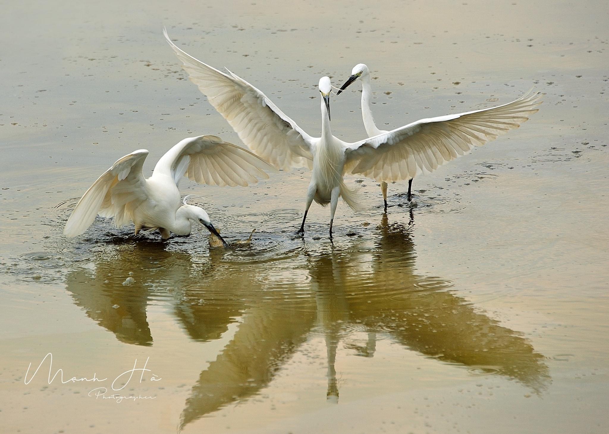 Hội Văn học Nghệ thuật tỉnh Đồng Nai