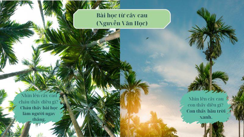 Soạn bài Bài học từ cây cau (Nguyễn Văn Học) – Ngữ văn 7