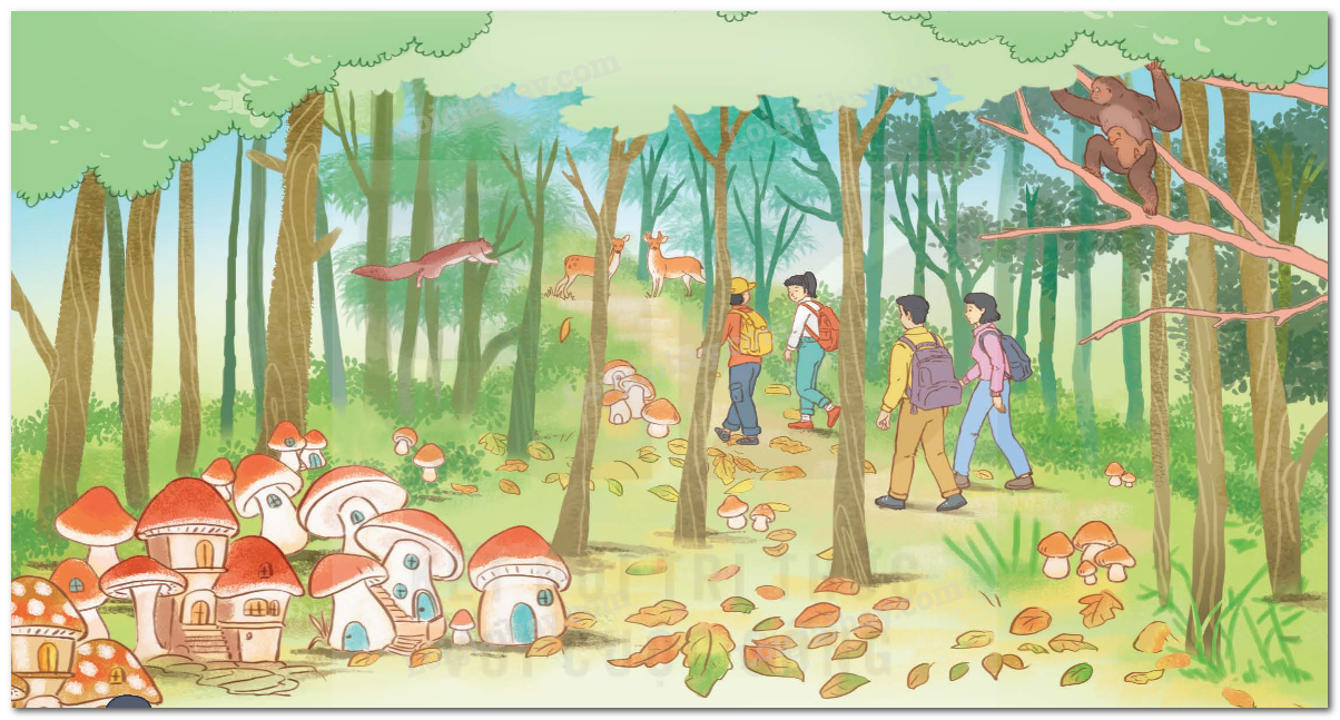 Bài 10: Kì diệu rừng xanh trang 51 SGK Tiếng Việt lớp 5 tập 1 Kết nối tri thức