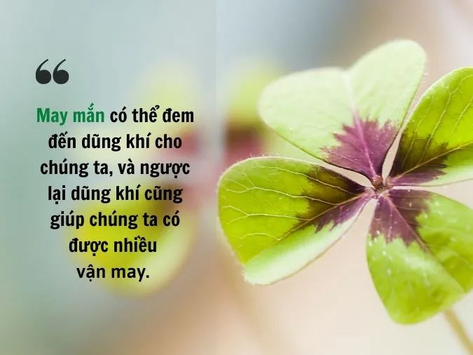 98+ Status may mắn trong cuộc sống, cap cầu mong may mắn bình an hay nhất