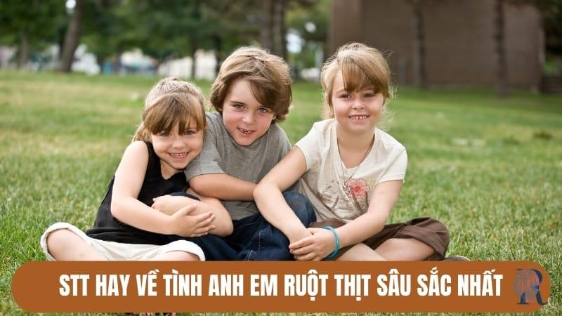 Sưu tầm 99+ stt hay về anh em ruột thịt ý nghĩa nhất