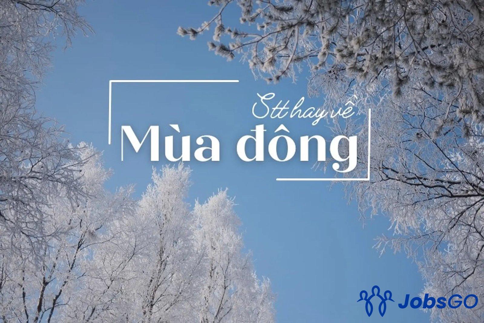 stt mùa đông - image 1