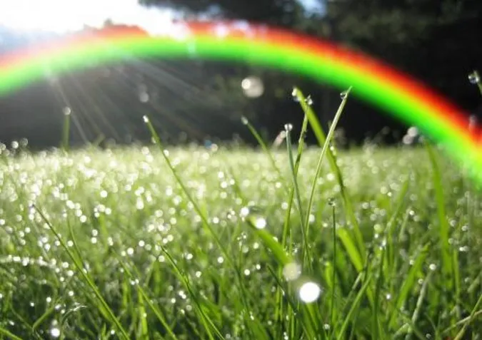 sau-con-mua-troi-lai-sang-voh-1