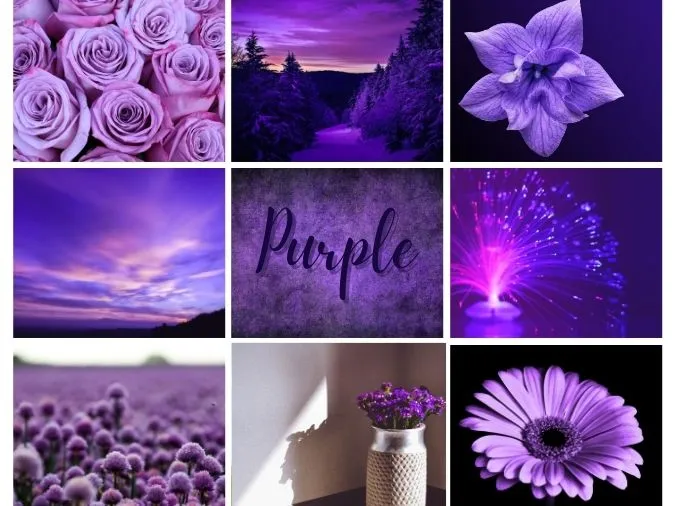 65 stt màu tím ấn tượng, thả thính vui nhộn