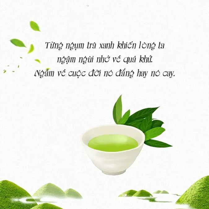 Stt trà xanh, cap trà xanh, câu nói về trà xanh thâm thúy