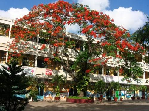 TRƯỜNG TIỂU HỌC TRUNG NHẤT