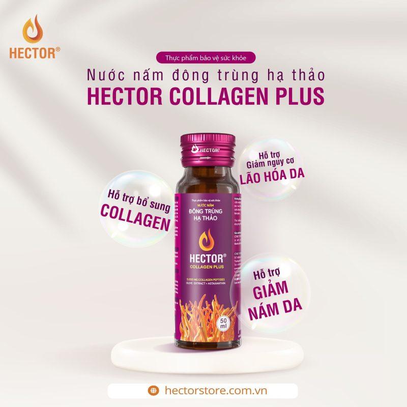 Hector Collagen Plus Đông Trùng Hạ Thảo, Đẹp Da, Mờ Nám Tàn Nhan