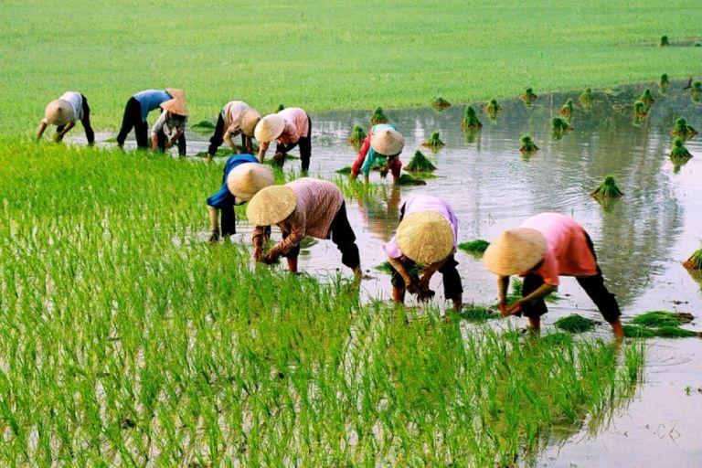 20oct2022image003jpg