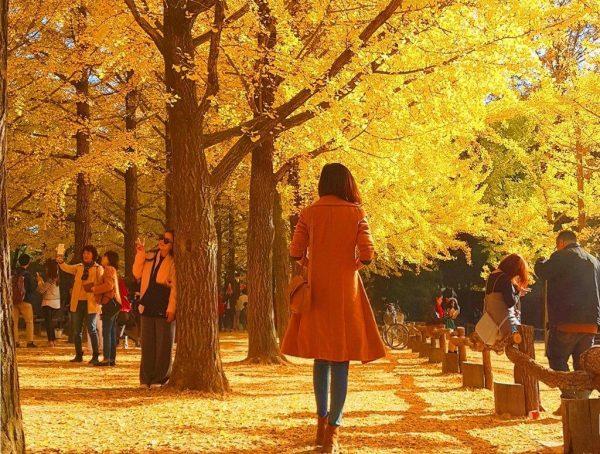 Tuyển tập những bài thơ 5 chữ về mùa thu lãng mạn