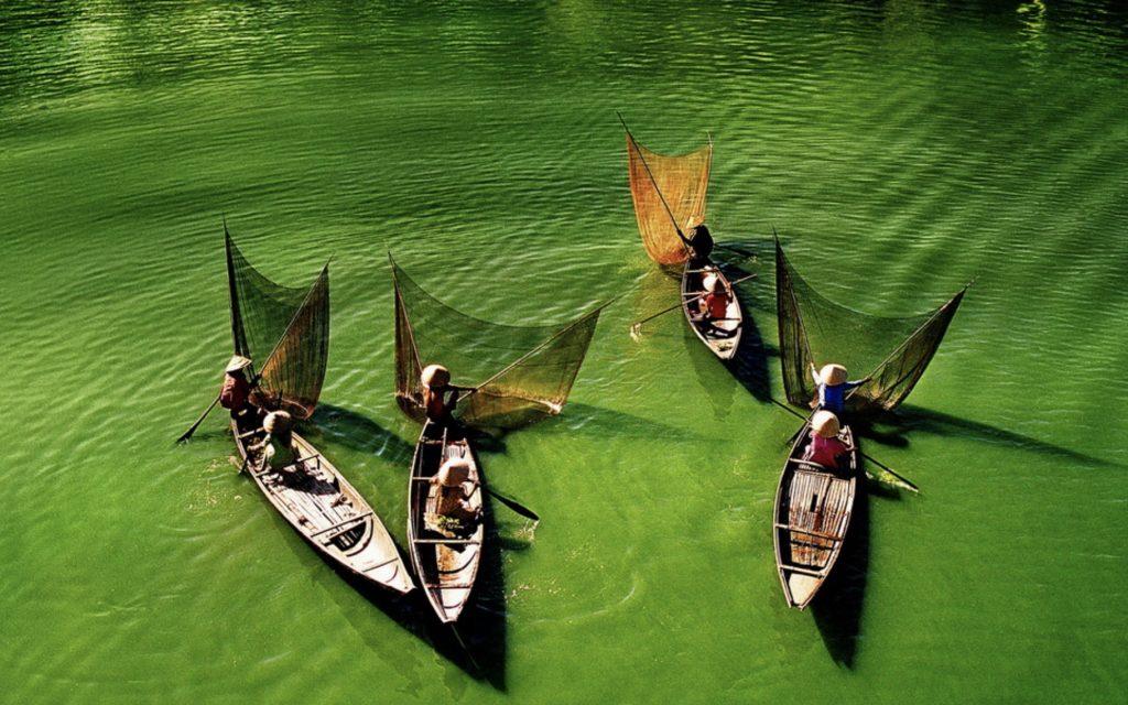 Những Bài Thơ Hay về Quê Hương – Nơi ngập tràn kí ức tuổi thơ