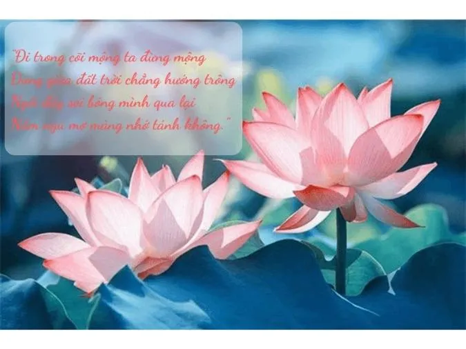 Top những bài thơ 4 câu về cuộc sống, tình yêu, gia đình hay và ý nghĩa