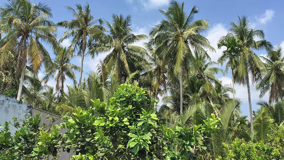 Di Tích Lịch Sử Võ Công Tồn