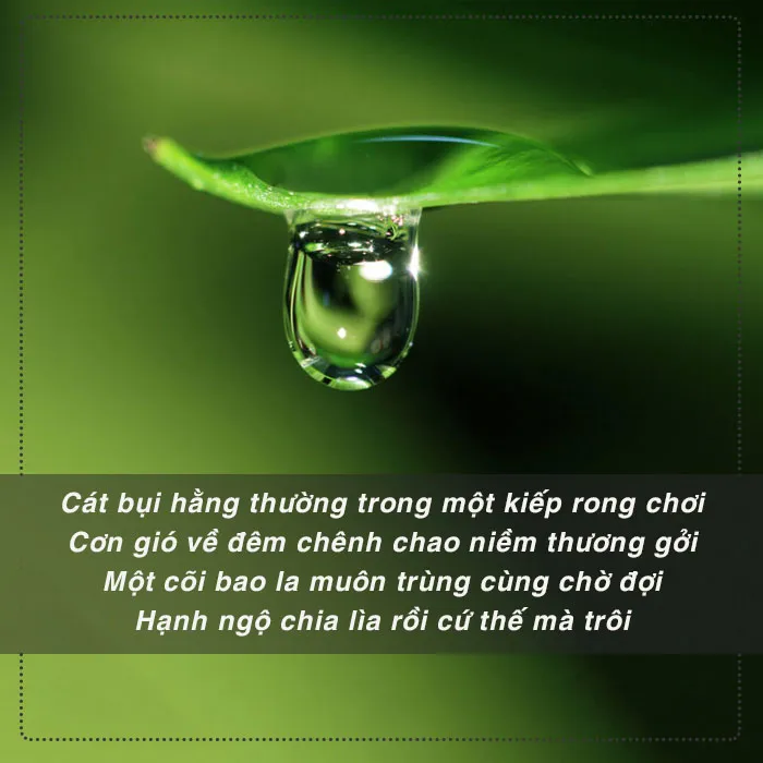 Top bài thơ về vô thường chứa đựng ý nghĩa nhân sinh sâu sắc