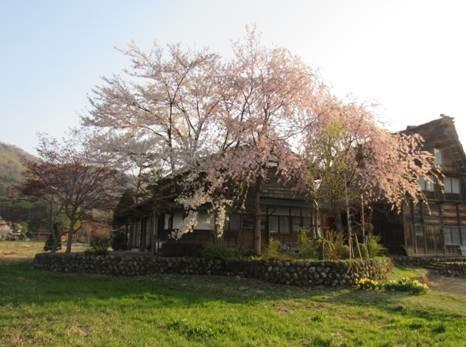 Bac Si Nguyen Xuan Quang's Blog