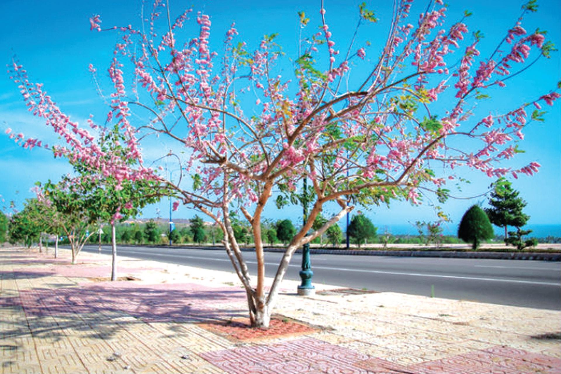 Mùa xuân trong mắt các thi nhân