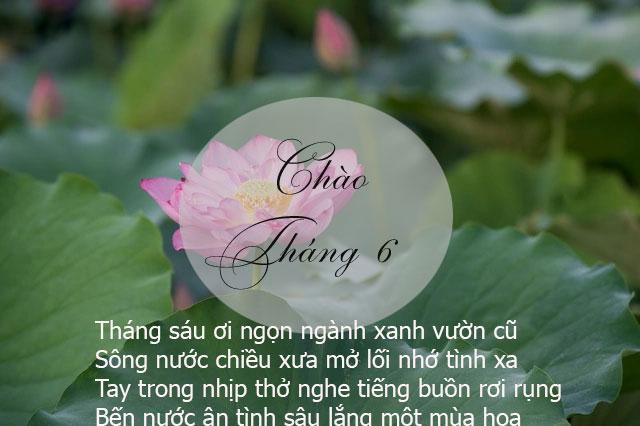 Thơ viết về tháng 6 hay