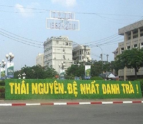 TOP Những Bài Thơ Về Chè Thái Nguyên Hay Nhất