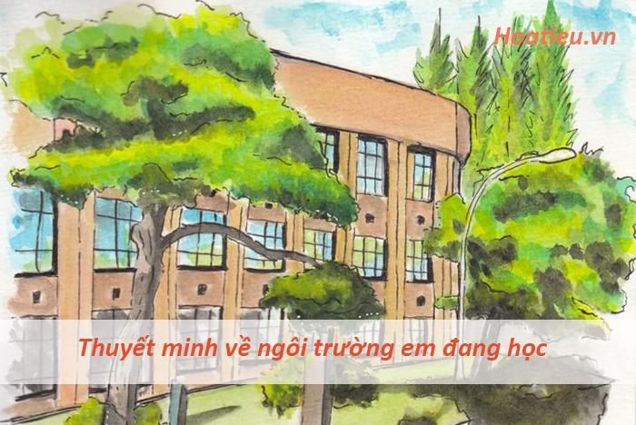 thuyết minh về ngôi trường của em
