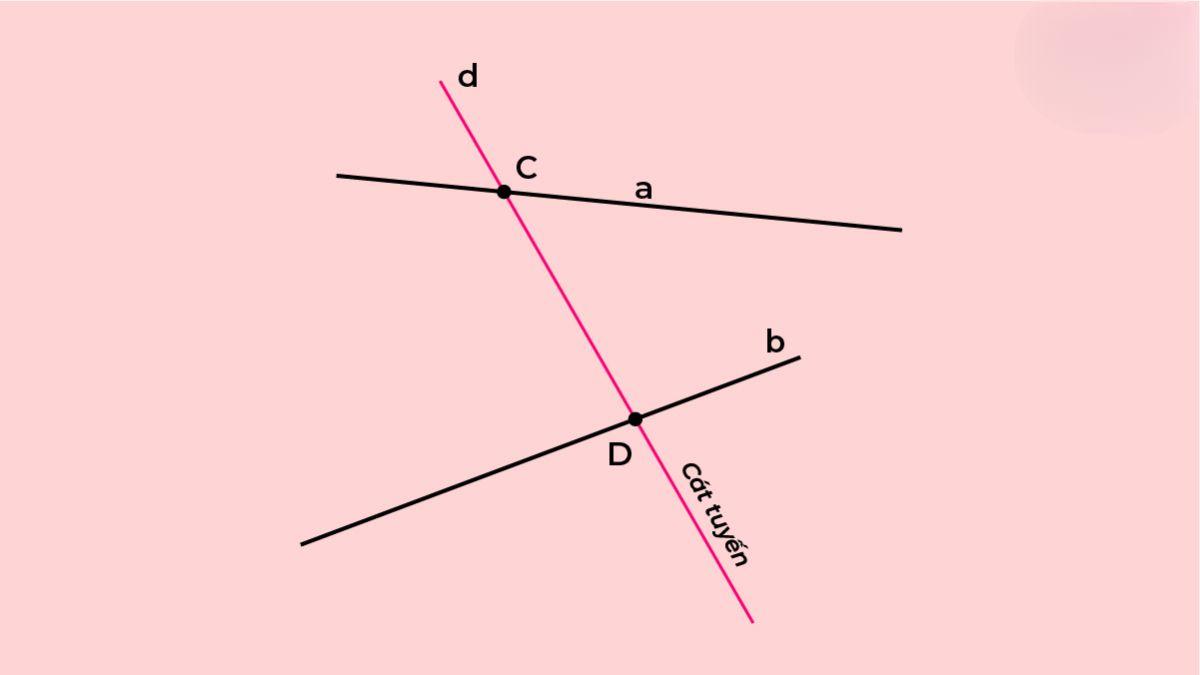 Đường cát tuyến là gì? Tất tần tật những điều cần biết