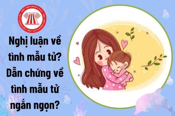 Tình Mẫu Tử Là Gì? Sợi Dây Thiêng Liêng Gắn Kết Tâm Hồn và Nghĩa Vụ Gia Đình