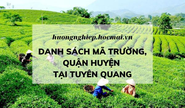Hồ sơ thi tốt nghiệp THPT: Tất cả các mã trường, mã quận huyện tại Tuyên Quang