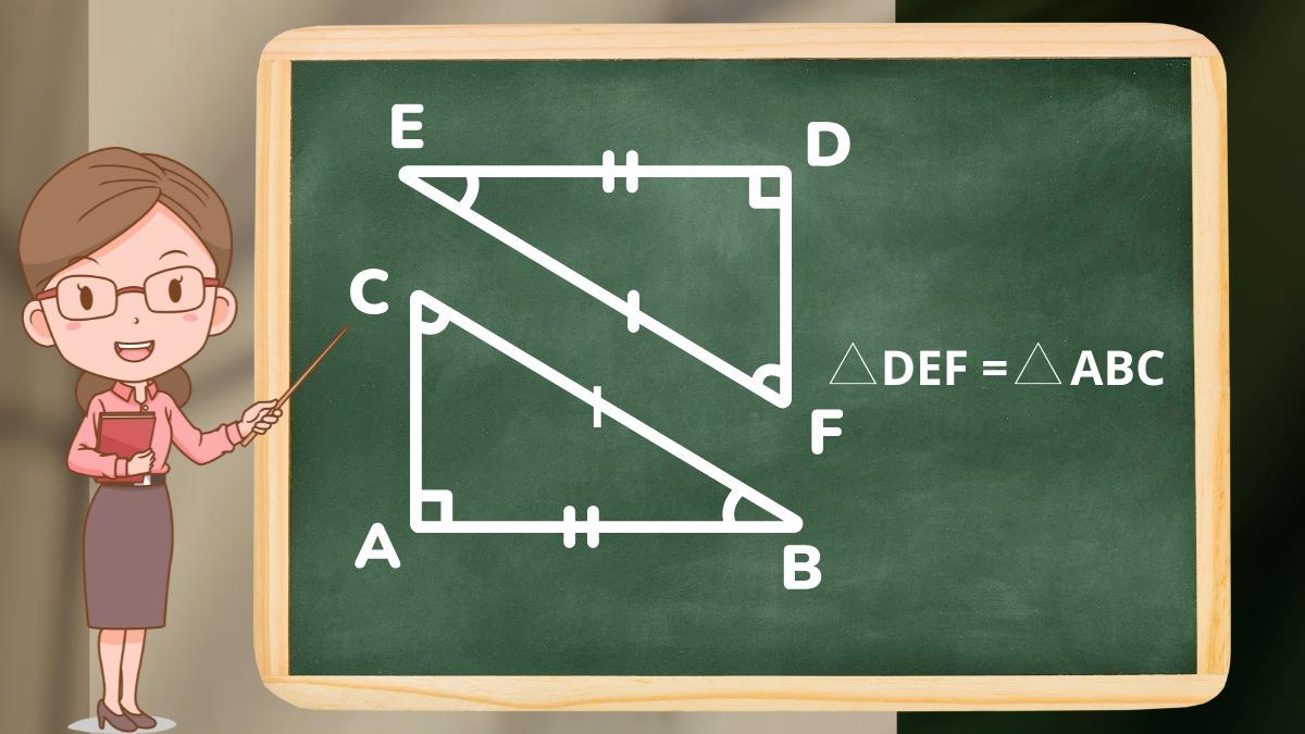 Có các trường hợp bằng nhau của tam giác vuông nào?