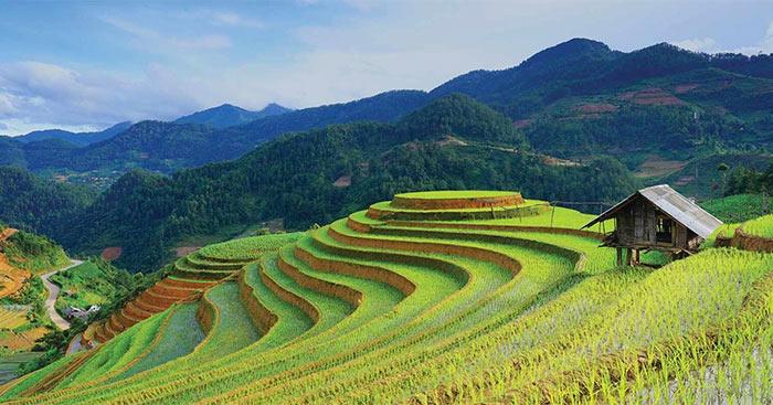 Phân tích vẻ đẹp Anh thanh niên trong Lặng lẽ Sa Pa                                   2 Dàn ý & 7 bài văn mẫu hay nhất