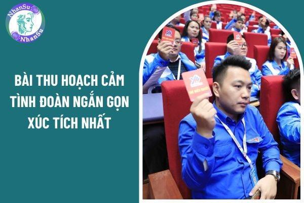 Bài thu hoạch cảm tình Đoàn mới ngắn gọn xúc tích nhất? Học sinh lớp mấy đủ điều kiện kết nạp vào Đoàn Thanh niên?