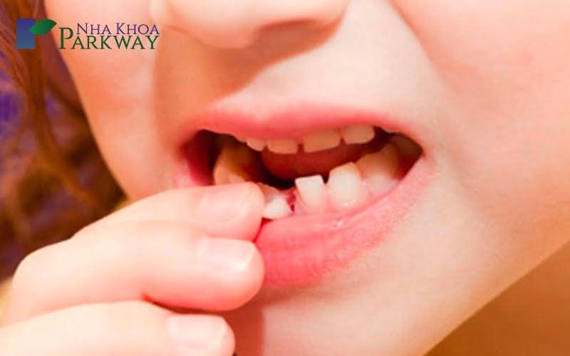 Rụng răng vứt ở đâu? Đừng bao giờ vứt chiếc răng sữa của con