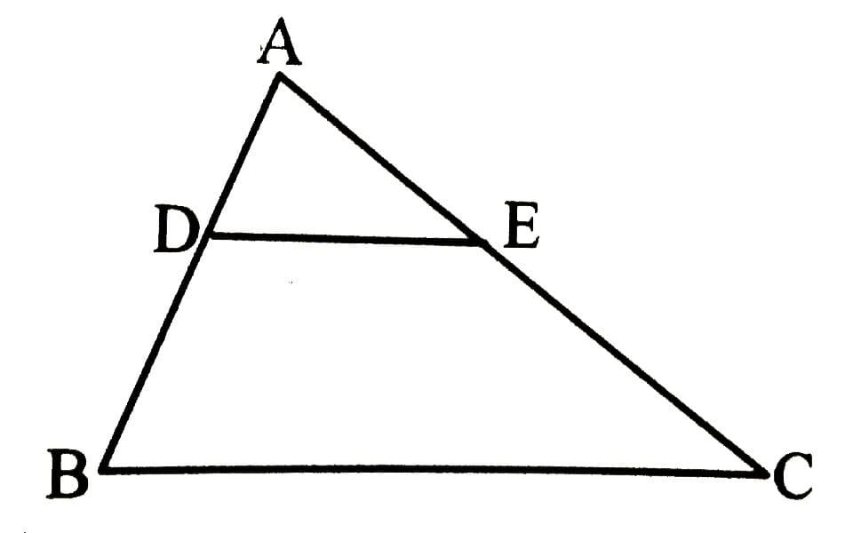 Tổng hợp kiến thức về định lý Talet trong Toán lớp 8