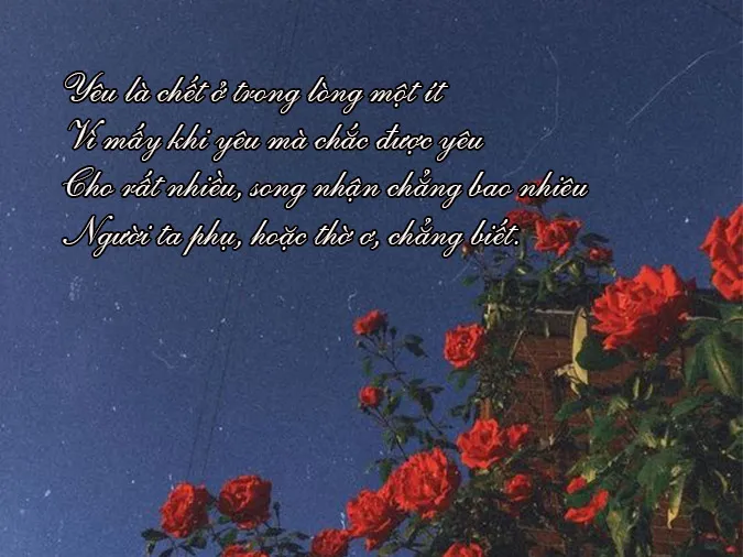 Rơi nước mắt với những bài thơ buồn về tình yêu