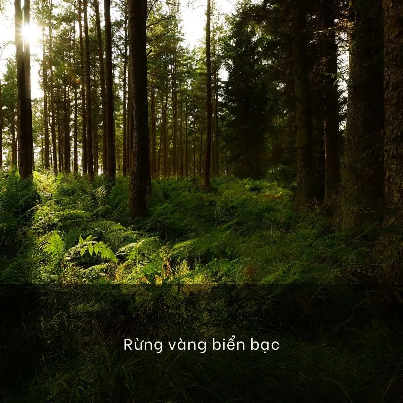 166 câu thành ngữ, ca dao, tục ngữ về môi trường sống và thiên nhiên