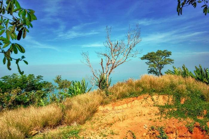 Miền Đông - chập chùng mùa nhớ