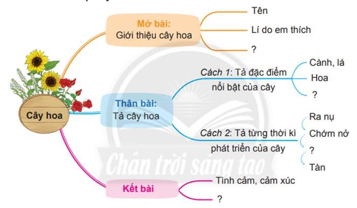 dàn ý tả cây hoa hồng