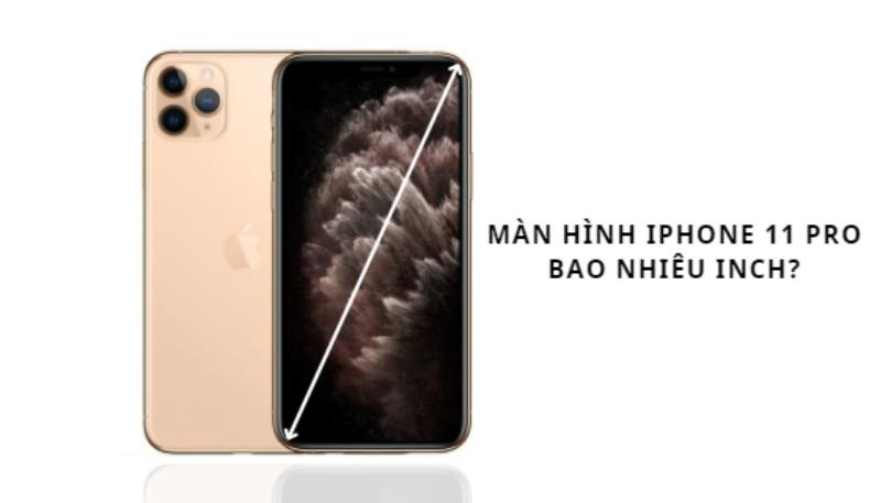 Màn hình iPhone 11 Pro bao nhiêu inch và khác gì so với iPhone 11 và 11 Pro Max